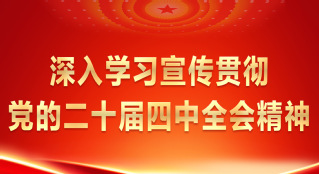深入学习宣传贯彻党的二十届四中...